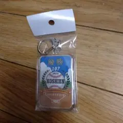 2025年沖縄尚学優勝　甲子園記念熊優勝キーホルダー