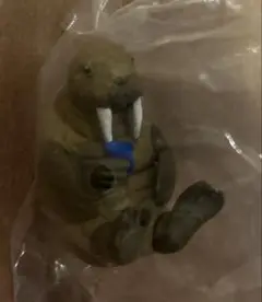どうぶつキャンプ06 セイウチ