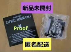 BTS 2025 FESTA CAPSULE ALBUM proof