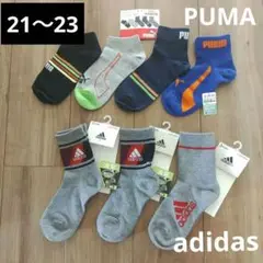 Item thumbnail for item 8cf6101f-199c-4209-a1de-bde80de034ba