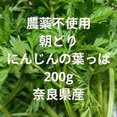 Item thumbnail for item d010c052-8bb5-4387-bc70-988b1e5daf2e