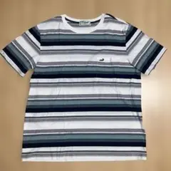 crocodileストライプ Tシャツ Lサイズ