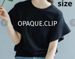 OPAQUE.CLIPオペーククリップ　半袖カットソー　フリルスリーブニット