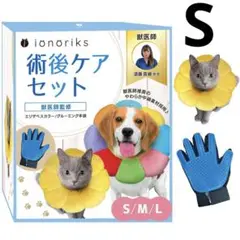 Item thumbnail for item 691b9e94-f28e-4c7b-8fe0-454780791c9a
