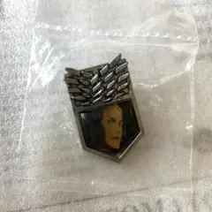 ✩.*˚ 進撃の巨人 ピンズコレクション エルヴィン ✩.*˚