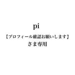 pi【プロフィール確認お願いします】さま専用