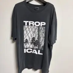 SALVAGE PUBLIC TROPICAL Tシャツ L グレー