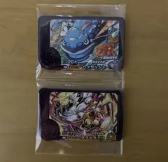 ポケモンフレンダ5弾★ヘイラッシャ★タケルライコ★スーパートレジャー★