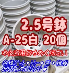 プラ鉢2.5号鉢【A-25】20個 スリット鉢 丸 プレステラ 多肉植物2