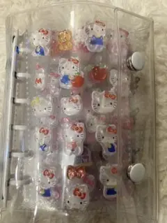 Item thumbnail for item 8d9935d9-80ec-4c5b-8a43-10cab23be4aa