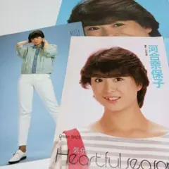 河合奈保子 ピンナップ・グラビアセット