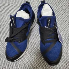 Item thumbnail for item 943a5447-f094-4182-8bed-367b452e7bf8