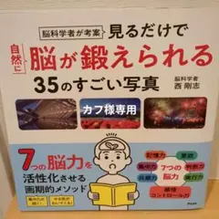 脳科学者が考案 見るだけで自然に脳が鍛えられる35のすごい写真