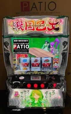 雪花菜オカラ 戦国乙女４　実機　簡易ユニット付　✨送料無料✨オプションあり 雪花菜オカラ様専用 戦国乙女4 実機 簡易ユニット付 ✨送料無料