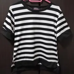ボーダー　Tシャツ