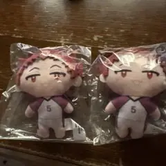 ハイキュー さとり