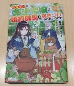 ［中古品］精霊守りの薬士令嬢は、婚約破棄を突きつけられたようです