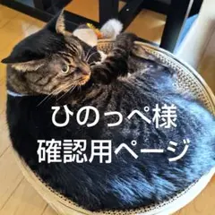 ひのっぺ様　確認用ページ