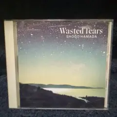 浜田省吾/ウェイステッド・ティアーズ(ベストCD)