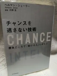 チャンスを逃さない技術 ヘルマン・シェーラー　即購入◎