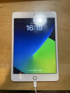 Apple iPad mini (第5世代) ローズゴールド