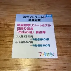ホワイトワールド 尾瀬岩鞍 市山の湯 割引券