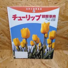 チューリップ観察事典