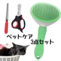 Item thumbnail for item a0a344b5-e4d5-4549-bafe-75d3b4d64bb2