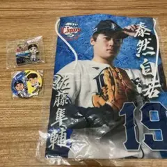 埼玉西武ライオンズ　佐藤隼輔投手セット