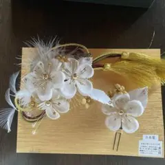 Item thumbnail for item add52964-7fb0-4b39-9b3e-74ed724304dc