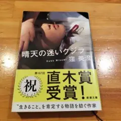 晴天の迷いクジラ