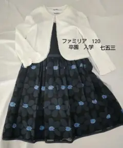 Item thumbnail for item dc334943-3f8d-4fe7-b3d7-1e76ee17b644