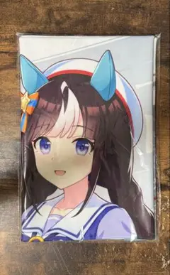 Item thumbnail for item 45af2062-d3c4-45a6-9a4f-d8e1710d74cb