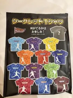 【最終値下げ済み】楽天イーグルス　シークレットTシャツ　荘司康誠