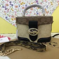 COACH シグネチャー 2wayバッグ 楕円 ブラウン バニティ