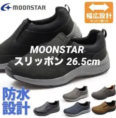 Item thumbnail for item 926c35b6-7f0c-41ee-b93e-2aa3c064299b