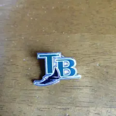 MLB タンパベイ・デビルレイズTB ロゴ ピンバッジ 約3cm
