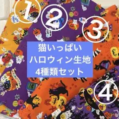 【4種類セット】ハロウィン生地　スケア 50×50cm