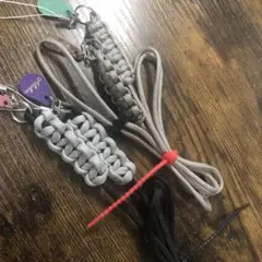 セット