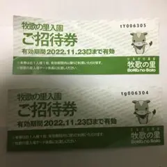 牧歌の里 ひるがの高原 郡上 岐阜 招待券 チケット ペア