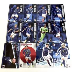 ポテトチップス サッカー日本代表チーム カード 12枚セット
