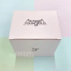 【新品未開封】SixTONES ライブ 2025 YOUNG OLD マグカップ