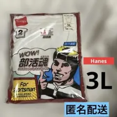 Hanes 3L Tシャツ　白　2枚組　吸汗速乾　部活魂　ポリエステル100%