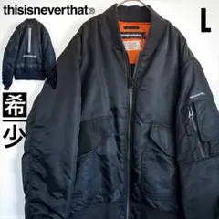 Item thumbnail for item 29a56553-a65c-4e43-8bae-db3eb68607d3
