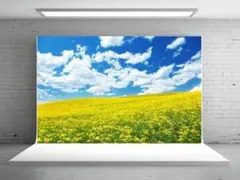 Item thumbnail for item 63364816-1cbb-46e8-b2f2-11c3d2181f7c