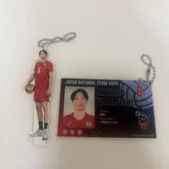 山内晶大