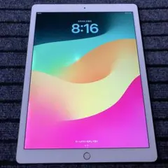 10 【早い者勝ち】 iPad Pro 12.9 2世代 512GB ゴールド