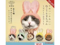 Item thumbnail for item 7793d5c9-4831-4de7-a035-db2b6c9ef2e8