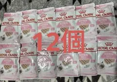 Item thumbnail for item dfbb9a56-0627-4e15-950f-064481934868