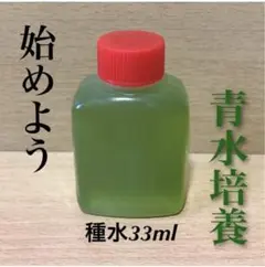 【安さで勝負】青水(グリーンウォーター)培養用種水 約33ml